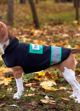 Жилетка для собак dogclub sven xl black-green