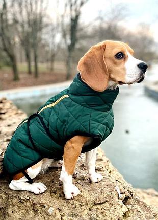 Жилетка для собак dogclub snup m green