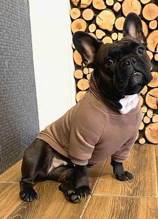 Худи для собак dogclub compton m coffe