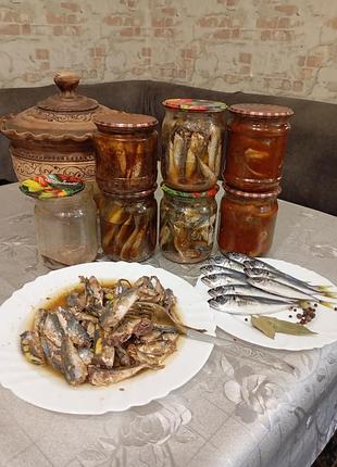 Черноморская прудик 4