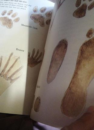 Animal tracks. arthur dorros. 32 p. 3