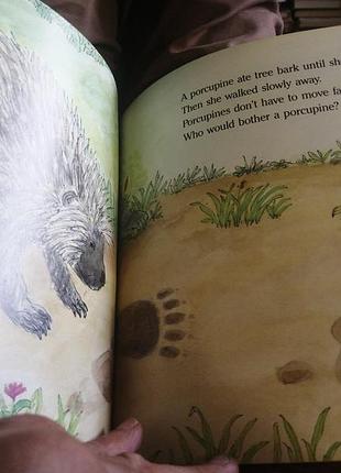 Animal tracks. arthur dorros. 32 p. 5