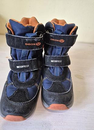 Дитячі зимові чоботи geox savage waterproof, р. 28