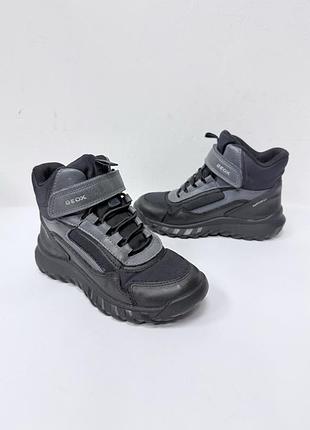 Черевики geox