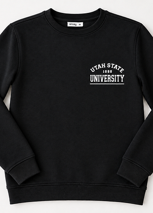 Світшот для хлопчика sinsay чорний з принтом utah state university