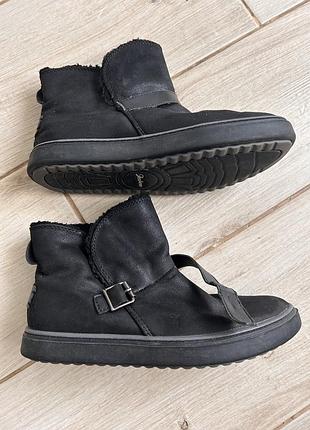 Жіночі черевики skechers