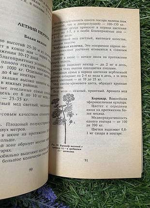 Пчеловодство 🍯🐝 2000 год организация пасеки мед пчелиные семьи кормовая база для пчел букинистика донеччина 4