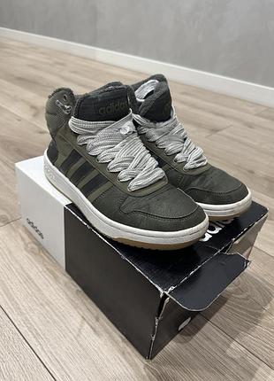 Кросівки хакі adidas hoops 2.0 mid