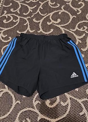 Мужские спортивные шорты adidas