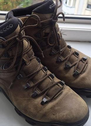 Черевики ecco terra evo gore-tex 46 нубук 3