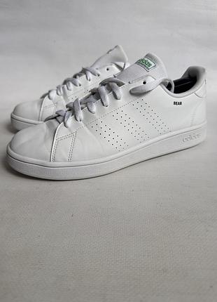 Кросівки adidas