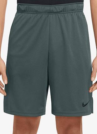 Чоловічі шорти  nike dri fit knit