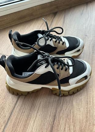 Кросівки жіночі steve madden колорблок 38 розмір