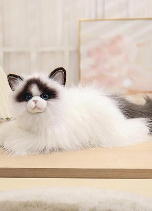 Мягкая игрушка котёнок рэгдолл мягкая игрушка кот породы рэгдолл 48 см разноцветный