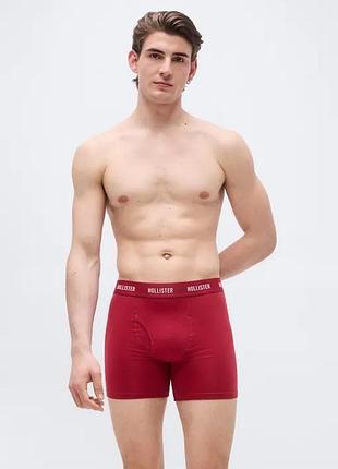 Hollister co. fly front - боксеры