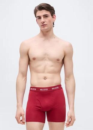 Hollister co. fly front - боксеры 2