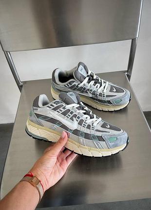 Nike p-6000 premium