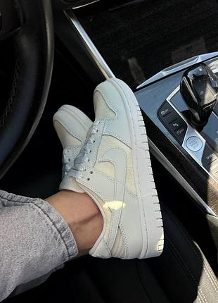 Nike sb dunk low premium 2