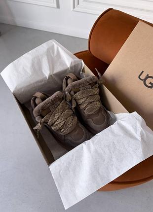 Уггі в наявності ugg lowmel 7