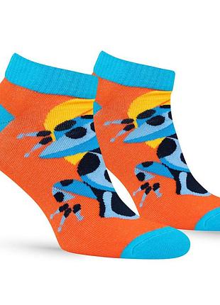 Носки premier socks амазонская лягушка, унисекс, разм. 36-39, 40-42, 43-45