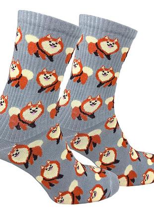 Носки premier socks "шпиц", унисекс, разм. 36-39, 40-42, 43-45