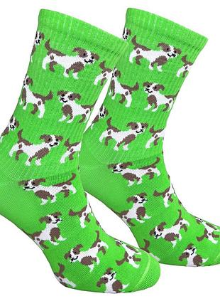Шкарпетки premier socks “джек рассел”, унісекс, розм. 36-39, 40-42, 43-45