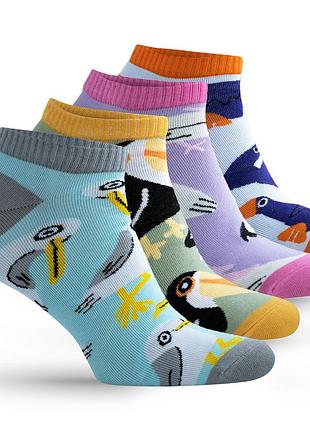 Набір шкарпеток premier socks веселі птахи, 4 пари в наборі, разм. 36-39, 40-42, 43-45 40-42