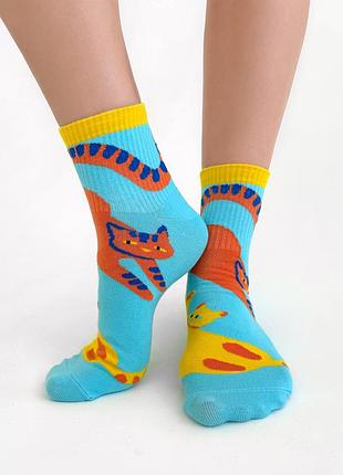 Носки premier socks кот-муркет, для него, разм. 40-42, 43-45