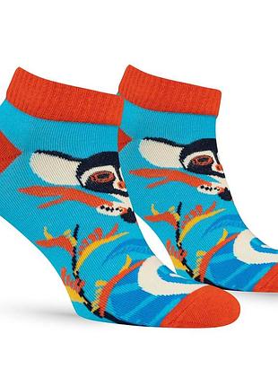 Шкарпетки premier socks балійський галаго, унісекс, розм. 36-39, 40-42, 43-45
