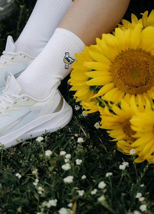 Шкарпетки premier socks “мирне небо”, унісекс, 36-39, 40-42, 43-45