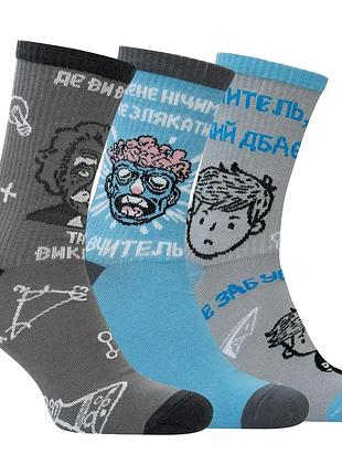 Набор носков premier socks для учителя, унисекс, 3 пары в наборе, разм. 36-39, 40-42, 43-45