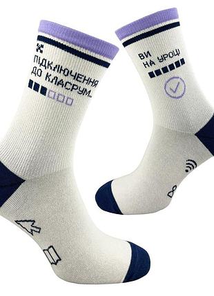 Носки подростковые «подключение по крум» premier socks, разм. 36-39, 40-42
