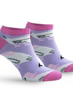 Шкарпетки premier socks нерозлучник, унісекс, короткі, разма. 36-39, 40-42 40-42