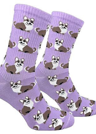 Носки premier socks “корги”, унисекс, разм. 36-39, 40-42, 43-45