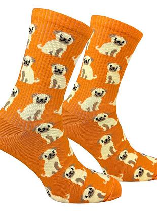 Носки premier socks “мопсик”, унисекс, разм. 36-39, 40-42, 43-45