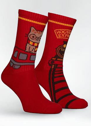 Носки premier socks "магическая путешествие", унисекс, разм. 36-39, 43-45