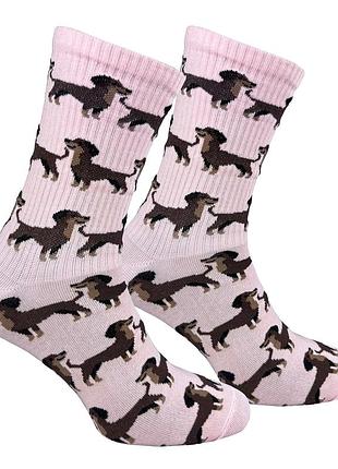 Носки premier socks “такса”, унисекс, разм. 36-39, 40-42, 43-45