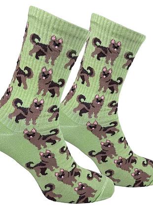 Носки premier socks “вовчарка”, унисекс, разм. 36-39, 40-42, 43-45