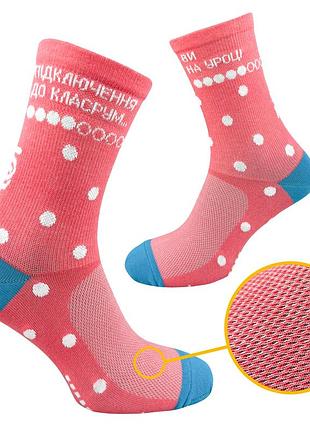 Шкарпетки підліткові «ви на уроці» premier socks, розм. 36-39, 40-42