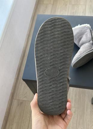 Уги   сірі 7