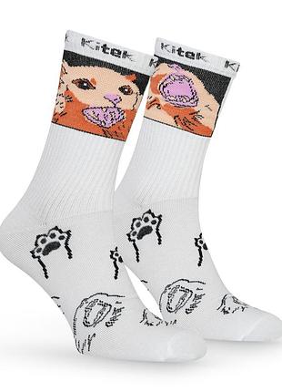 Шкарпетки premier socks з принтом котика "thurston", розм. 36-39, 43-45