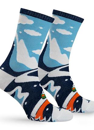 Шкарпетки premier socks: "нік експрес", унісекс, 36-39, 40-42, 43-45
