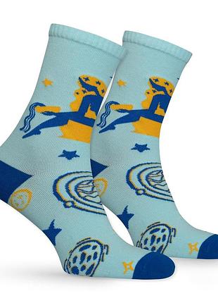 Носки premier socks водолей, унисекс, разм. 36-39, 40-42, 43-45