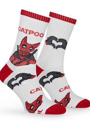 Шкарпетки premier socks "catpool", розм. 36-39, 43-45
