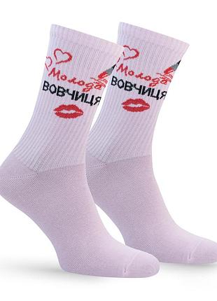 Носки premier socks: "молодая шерсть", 36-39, 40-42