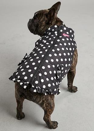 Зимова тепла куртка пуховик для собак smoochie pooch (m) спина - 35см.