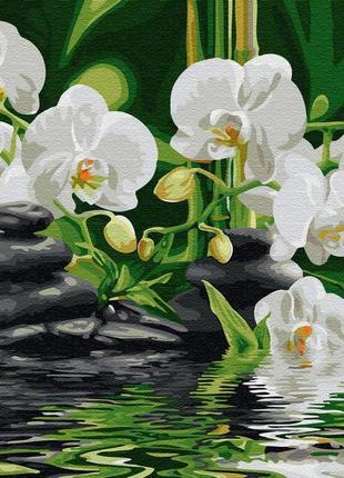 Картина по номерам спокойствие орхидей