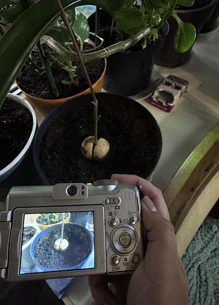 Фотоапарат canon powershot a630 цифрова компактна камера