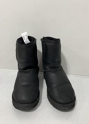 Жіночі ugg оригінал 2