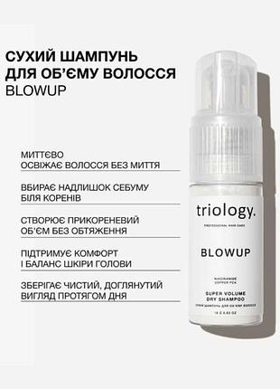 Сухий шампунь для об'єму волосся blowup 2358 (2137-01) 18 г triology